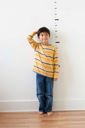 <p>Child Growth & Monitoring Services</p>